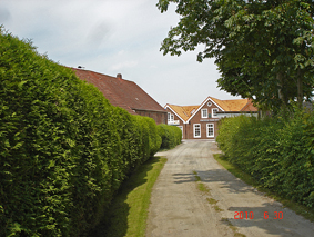 Weg zum Haus